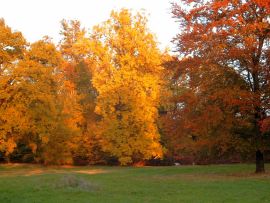 Schlosspark